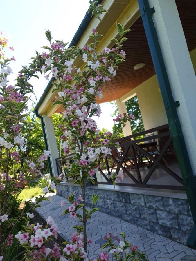 Villa Rokiti Экстерьер фото