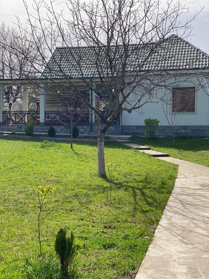 Villa Rokiti Экстерьер фото